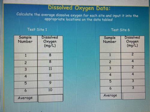 What would the averages be?