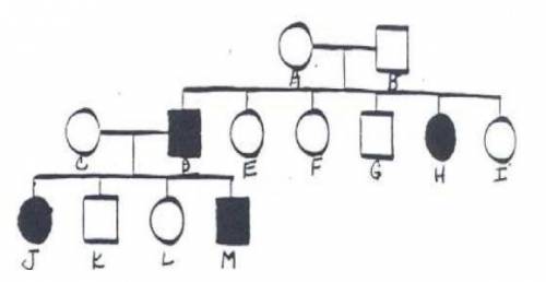 Use the pedigree to answer the folloiwng questions using the folloiwng key: T=normal; t=tay-sachs