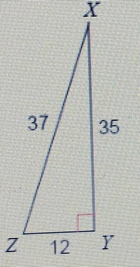 Find the value of the trigonometric ratio, tan Z​