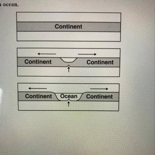 The diagram below shows the stages of development of and Ocean.

The process above results from
A.