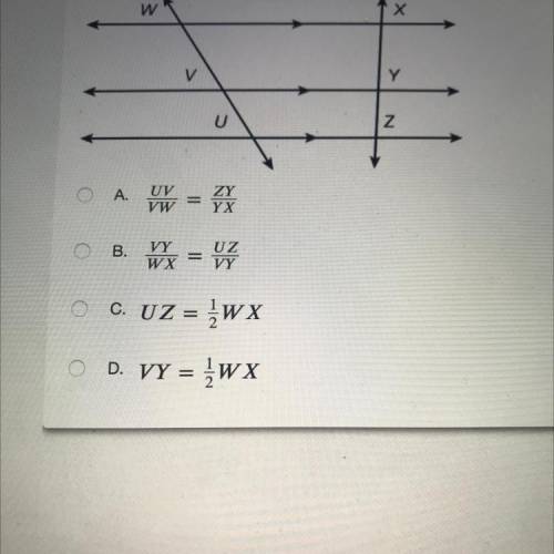 Which conclusion does the diagram support?