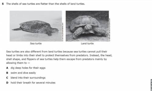 SIENCE! topic : animals : “ turtles ” HELPPP!!! ( didn’t let me change subject, i think someone is