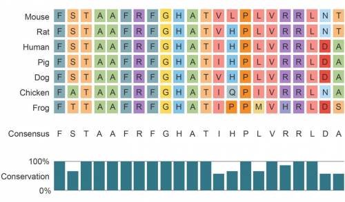 Multiple sequence alignment is a method that can be used to compare three or more biological sequen