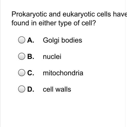 Which of the following describes a function of the endoplasmic reticulum within a cell?