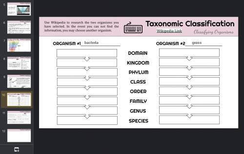 What’s the domain of grass and bacteria???? :(