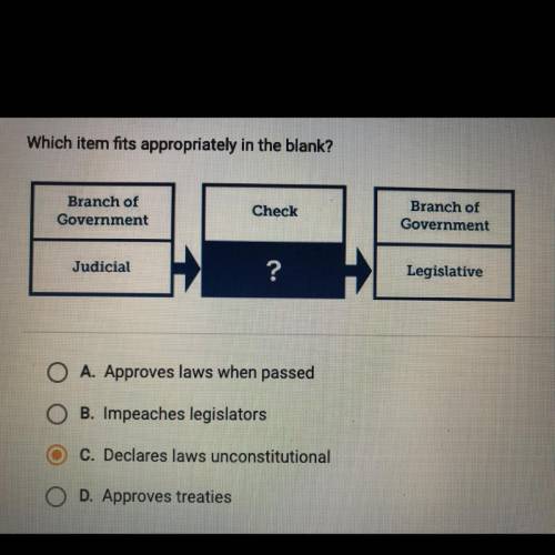 Which item fits appropriately in the blank?

Branch of
Government
Check
Branch of
Government
Judic