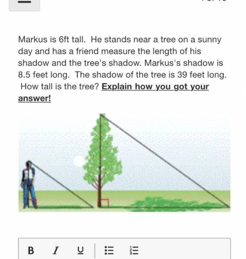 How tall would the tree be?