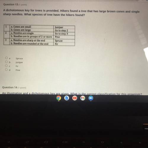 PLEASE HELP ME ON THIS QUESTION ASAP