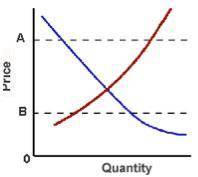 In the diagram above, what will happen if the government sets the minimum wage at Point B?

There