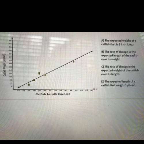 Adriel decides to research the relationship between the length in inches and the

weight of a cert