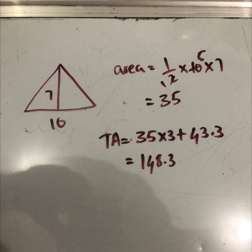 Help please. Find the surface area of the net.