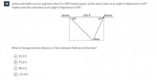 James and Padma are on opposite sides of a 100-ft-wide canyon. James sees a bear at an angle of dep