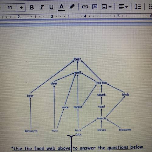 PLEASE HELPPP ASAP!!!

1. List all of the omnivores in this food web
2. List all the herbivores an