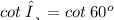 cot \: θ \:  = cot \: 60 {}^{o}