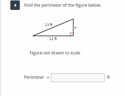 PLS HELP ME WITH THIS QUESTION