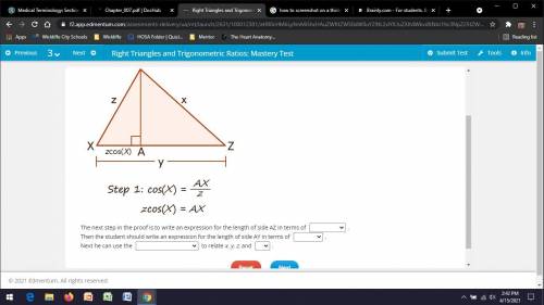 NEED HELP ASAP. WILL GIVE BRAINLIEST.