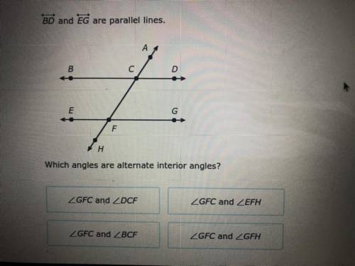 PLEASE HELP  DONT SKIP ANSWER.