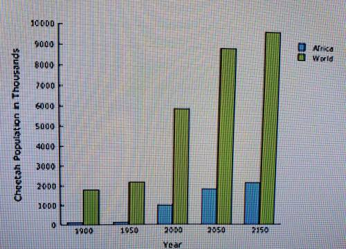 This bar graph shows the cheetah population of Africa and the world in the past as well as the proj