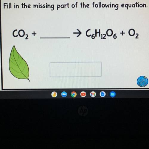 Does somebody know the answer ?