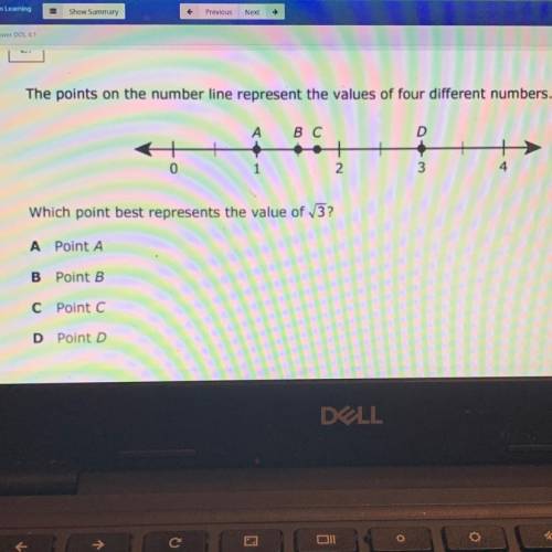 Need help? Plssss for a grade lol