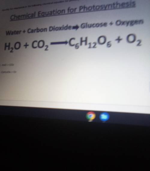 Water Carbon for H₂O + CO₂​