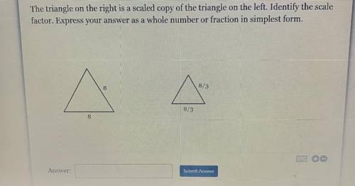 PLEASE ANSWER FOR BRAINLIEST AND EXPLAIN :)