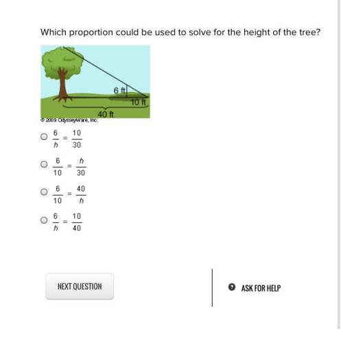Which Proportion Could Be Used To Solve ...