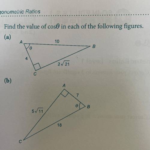 Need help pls , 30 points 
NO LINKS !