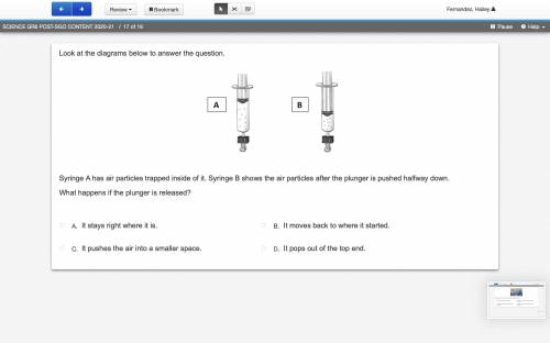 Please help with these question