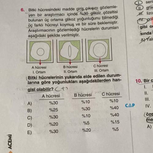 Cevap C açıklar mısınız?