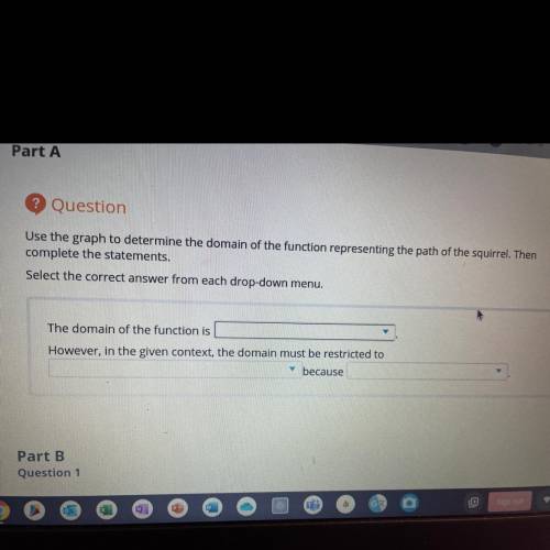 Use the graph to determine the domain of the function representing the path of the squirrel. Then