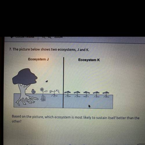 Based on the picture,which ecosystem is most likely to sustain itself better than the other