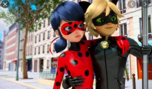 First one to find 5 pictures of ladybug and cat noir toghether get brainliest on all my questions i