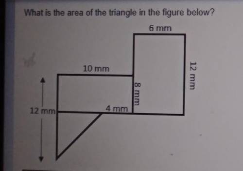 What is the area of the triangle in the figure below?​