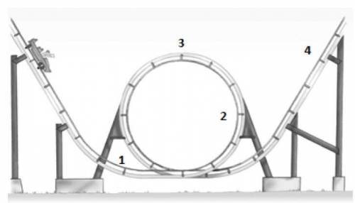 Explain how potential energy converts to kinetic energy in the loop-the-loop section of the rollerc