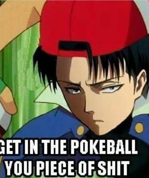 Levi Ackerman is the best pokemon trainer srry about da cus wrd