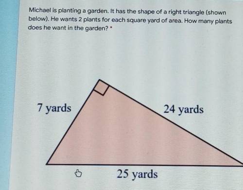 Michael is planting a garden. It has the shape of a right triangle (shown below). He wants 2 plants