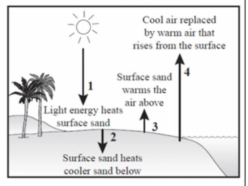 The arrows in the picture below show several ways heat is transferred from the Sun as it strikes sa