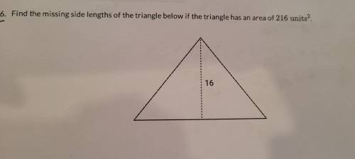 I have more questions from my homework, please help!