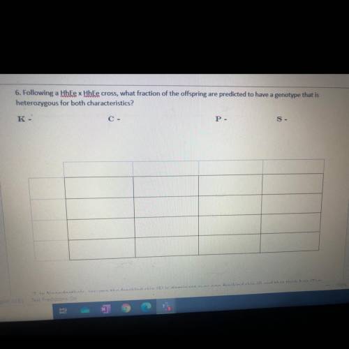 Can anyone pls help me with this?!