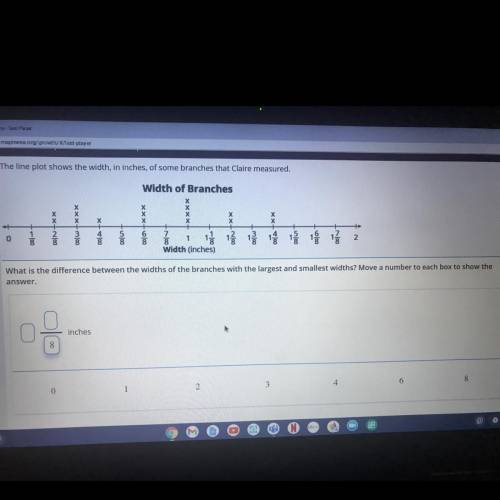 Help it’s for a big test

What is the difference between the widths of the branches with the large