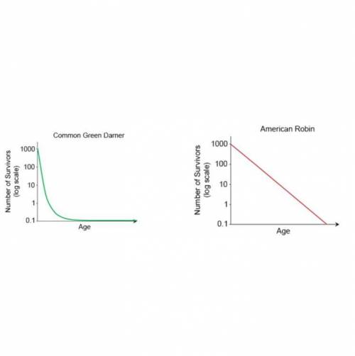 What statement is best supported by the survivorship curves?

A. American robins have a high survi