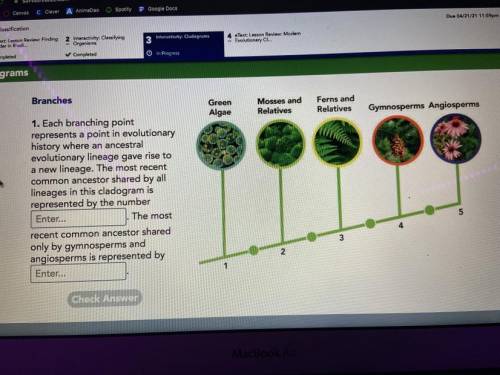 1. Each branching point represents a point in evolutionary history where an ancestral evolutionary