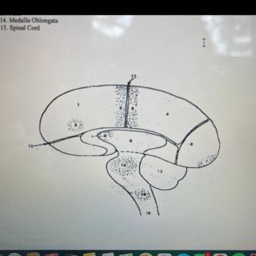 Label the Diagram 1-15