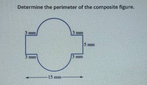 Determine the perimeter of the composite figure.​