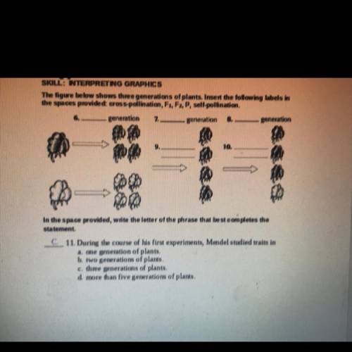 Just need 9 and 10 filled in so if somebody could take the time out of there day to give me the cor