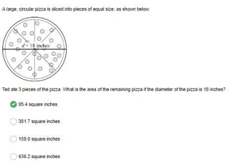 Ted ate 3 pieces of the pizza. what is the area of the remaining pizza if the diameter of the pizza