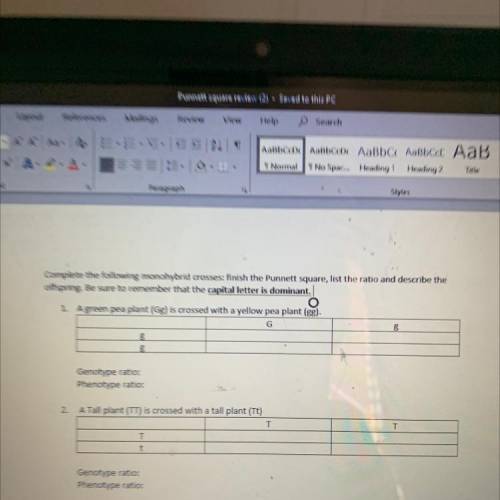 Can somebody help me out with these punnett square questions, just 1. and 2.