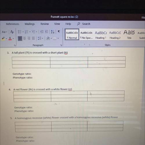 Please help:(

Punnett squares
need help with these three, if anybody can help id really appreciat