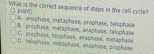 What is the correct sequence of steps in the cell cycle?